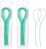 WLLHYF 100 Pcs Floss Threaders Multifunctional Deep Clean Floss for Braces, Bridges, and Implants Dental Threader (Green)