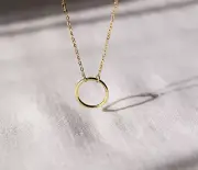 Dainty Discreet Day Collar Circle Necklace stainless steel o ring bdsm submissiv