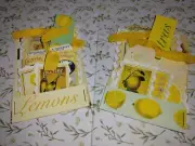 2 Lemon Pockets Set Junk Journal Scrapbook Usa