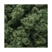 Woodland Scenics Clump-Foliage Medium Green (Large Bag) New