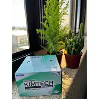 在飛比找蝦皮購物優惠-KIMTECH精密科學擦拭紙**