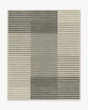 245' x 305' | Machine Washable Runner Rug | Kid & Pet Friendly | Indoor Rug | Gradasi Grey Rug | Ruggable