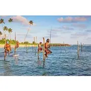 Save 15.00%! Day trips to Galle from colombo Visiting Its Highlights