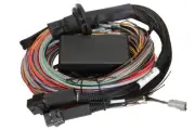 HALTECH Elite 2500 & 2500 T Premium UniversalWire-in Harness HT-141304