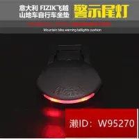 在飛比找露天拍賣優惠-現貨 fizik尾燈 ICS Blinking 飛賊尾燈 非