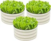 SnugNiture 3 Pcs 2x2x1ft Round Galvanized Raised Garden Bed Kit Outdoor, Metal Planter Box for Planting Plants Vegetables, White