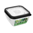 Lemon & Lime 630ml Food Box Square Container Storage Organiser w/ Lid Assorted