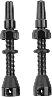 Gatuida 2 Pcs Anti-backflow Nozzles Stans Tubeless Sealant Valve Seals Valve Stems for Tubeless Tyres Precision Aluminum Alloy Easy Installation
