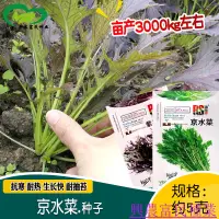 在飛比找蝦皮購物優惠-🌱🥬紫水晶京水菜雪裏紅種子 農田菜園蔬菜四季蔬菜長勢快雪裏紅