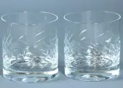 2 SCHOTT ZWIESEL TRITAN Crystal DISTIL Coll. ARRAN Tumblers DOF Germany