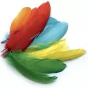 Feathers Goose Down Coloured Assorted 15g