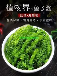 在飛比找Yahoo!奇摩拍賣優惠-買2送1 買3送2 越南進口 海葡萄 綠色魚子醬 即食海洋蔬