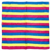 Zac's Alter Ego Gay Pride Festival Equality Pansexual Bandana