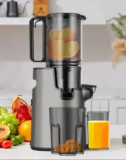 LQZ Cold Press Juicer, Slow Masticating Juicer Machines, 350W Juice Black