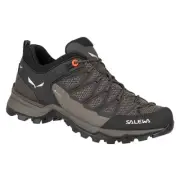 Salewa Mtn Trainer Lite Gtx trekking shoes 61362-7517 brown