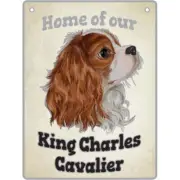 King Charles Cavalier - Pet Sign Dog Metal Plaque 15*20cm Free Shipping