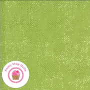 Moda QUOTATION 1660 137 Lime Green Tonal ZEN CHIC Quilt Fabric