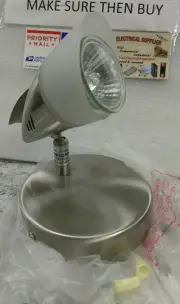 Trans Globe Lighting W-470 BN CEILING LAMP (8H2