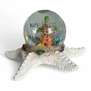 3" Sea Turtle Glitter Snow Globe Sea Life Figurine Decor Real Starfish Key West