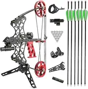 Archery Mini Compound Bow 35 Lbs Dual-Purpose Compound Bow Steel Ball Compound Bow Kit Right and Left Handed Bow for Outdoor Hunting Shooting Fishing
