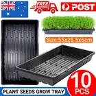 10 Pcs Garden Black Plastic Rectangle Plant Seedling Propagation Seeding Tray AU