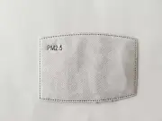 10 Pack Mask Filter pm2.5 CHILD Size 5 Layer Activated Carbon Filter USA Seller