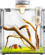 Clear Reptile Cage, Jumping Spider Growth Enclosure, Lightweight and Ventilated Habitat, Transparent Small Animal Breeding Box, for Turtles, Beetles, Snails, Lizards, Amphibians