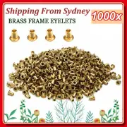 1000Pcs Beekeeper Beekeeping Beehive Bee Hive Brass Frame Eyelets Equipments AU