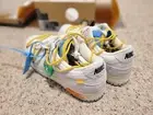 Nike Dunk Low x Off White Lot 34 of 50 size 9.5