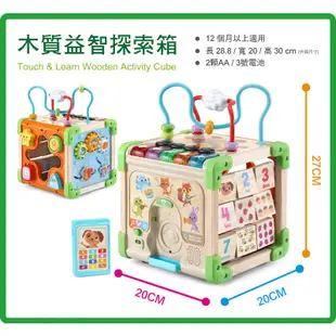 美國 LeapFrog 跳跳蛙 木質益智探索箱【宜兒樂】