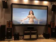 110" 4K ALR screen, turn old/L/throw & sony laser projectors for D/light