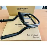 （全新品）VIGORPLUS MULTIPLE 雙層後貨架 GOGORO 2後置物架 後扶手（快速出貨）