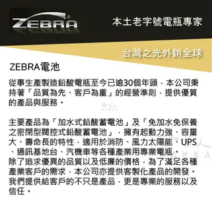 ZEBRA ZTX7A 機車電池 免加水 台灣製造 摩托車電池 YTX7A-BS GTX7A-BS 7號電池 電瓶 哈家