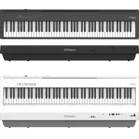 在飛比找momo購物網優惠-【ROLAND 樂蘭】最新款Roland FP-30X 88