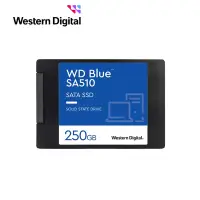 在飛比找Yahoo奇摩購物中心優惠-WD 藍標 SA510 250GB 2.5吋SATA SSD
