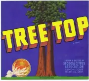 Tree Top, Tulare Co, Lemon Cove CA, 1940's antique vintage Fruit Crate Label