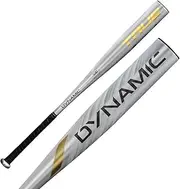 'True Temper True Temper 2023 Dynamic (-3) BBCOR 2 5/8'' Baseball Bat'