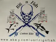 6 High / Low Chicken Rig For Pompanos, Whitings, Snappers, Flounders, Spots....