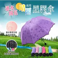 在飛比找蝦皮商城優惠-遇水開花晴雨兩用黑膠傘 1入 現貨 抗UV傘 折疊傘 摺疊傘