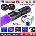 USB UV Ultra Violet LED Flashlight Blacklight Light 395 nm Inspection Lamp Torch