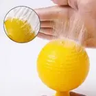 1x Sticky Fruit Fly Traps Ball Fungus Gnat Killer Trap For Indoor-Outdoor D7U5