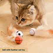 Ball with Feather Cat Toy | Interactive Bouncy Toy for Indoor Cats & Kittens