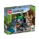 LEGO 樂高 21189 Minecraft系列 骷髏地牢 外盒:26*22*7.5cm 364pcs