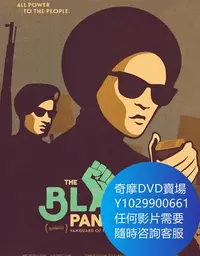 在飛比找Yahoo!奇摩拍賣優惠-DVD 海量影片賣場 黑豹黨：革命先鋒/黑豹：革命先鋒 紀錄