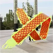 Dragon Dance Silk Outdoor Fitness Dragon Dance Streamers, Adult/Teen/Kids Sports Gymnastics Dance Ribbons, Chinese Dragon Dance Ribbon