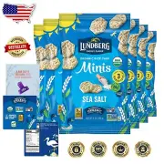 Healthy Vegan Organic Rice Cake Minis, Sea Salt Flavor – 6-Pack Snack Delight