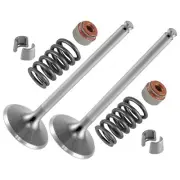 Caltric Exhaust Valve Kit For Can-Am CanAm Commander Max 1000R 2018-2023 QTY 2