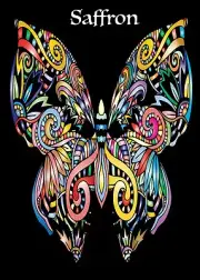 Password?web Address Book Majestic Butterfly 4" x 6"r