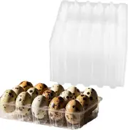 LEXININ 100PCS 15 Grid Quail Egg Cartons, Clear Quail Egg Containers, Plastic Qu