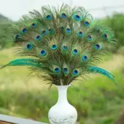 20 Pcs Peacock Tail Feathers Natural For Wedding Craft Decor Arts New Home Hot